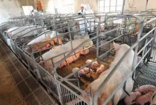 20170804094630203020