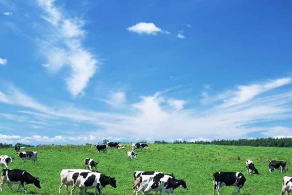 20190102102155945594