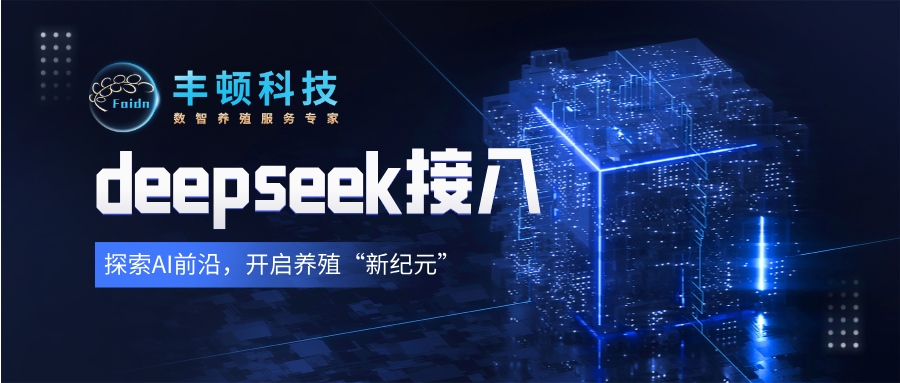 20250219084335383538