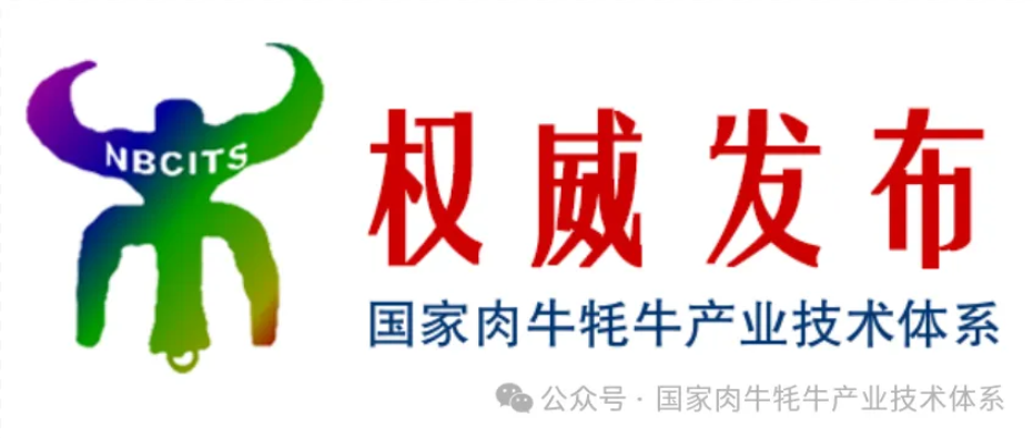 20250225152989448944