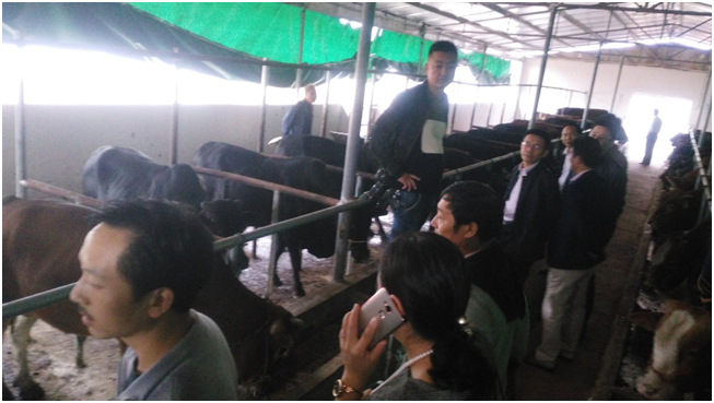 й885566˹(ɷ)޹˾-ٷվ