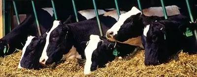 й885566˹(ɷ)޹˾-ٷվ