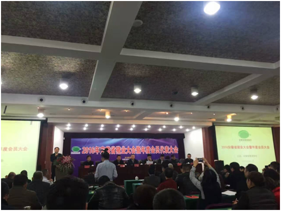 й885566˹(ɷ)޹˾-ٷվ