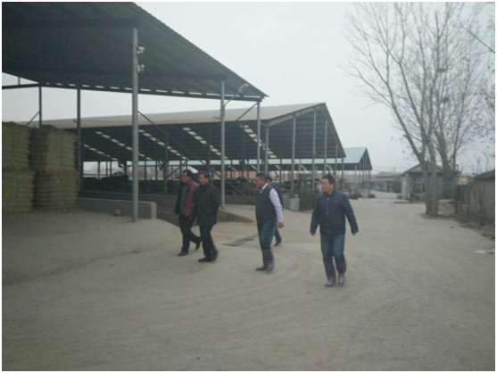 й885566˹(ɷ)޹˾-ٷվ