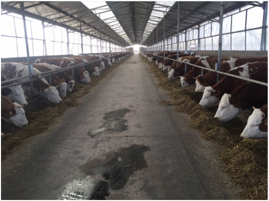 й885566˹(ɷ)޹˾-ٷվ