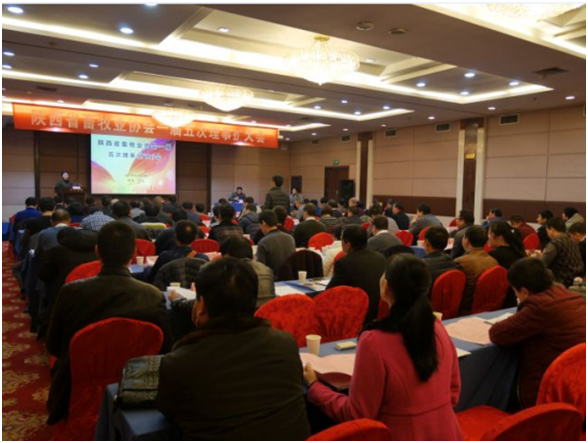 й885566˹(ɷ)޹˾-ٷվ