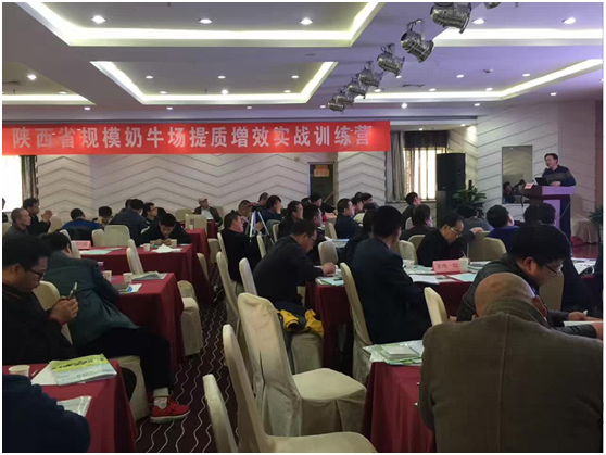 й885566˹(ɷ)޹˾-ٷվ