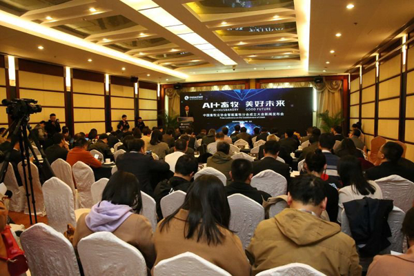 й885566˹(ɷ)޹˾-ٷվ