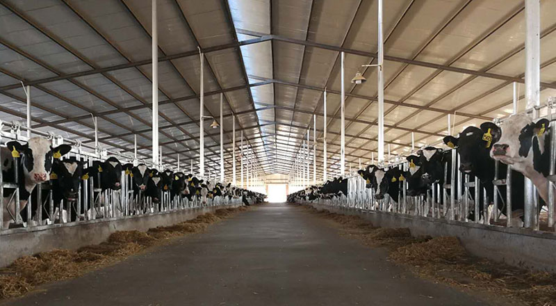 й885566˹(ɷ)޹˾-ٷվ