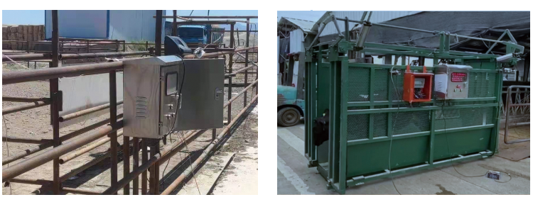 й885566˹(ɷ)޹˾-ٷվ