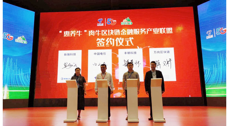 й885566˹(ɷ)޹˾-ٷվ