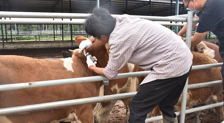 й885566˹(ɷ)޹˾-ٷվ