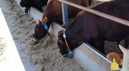 й885566˹(ɷ)޹˾-ٷվ