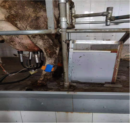 й885566˹(ɷ)޹˾-ٷվ