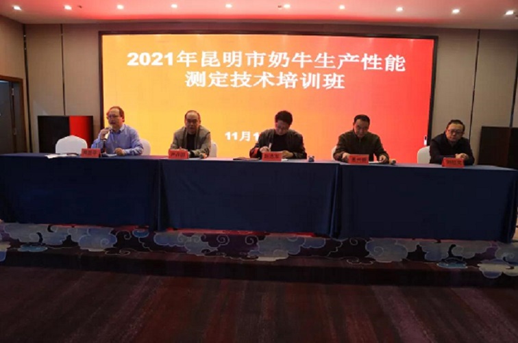 й885566˹(ɷ)޹˾-ٷվ