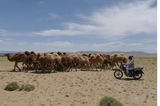 й885566˹(ɷ)޹˾-ٷվ