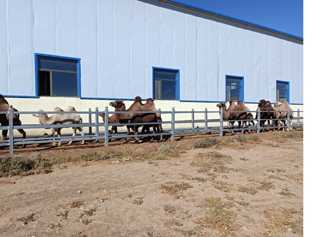 й885566˹(ɷ)޹˾-ٷվ