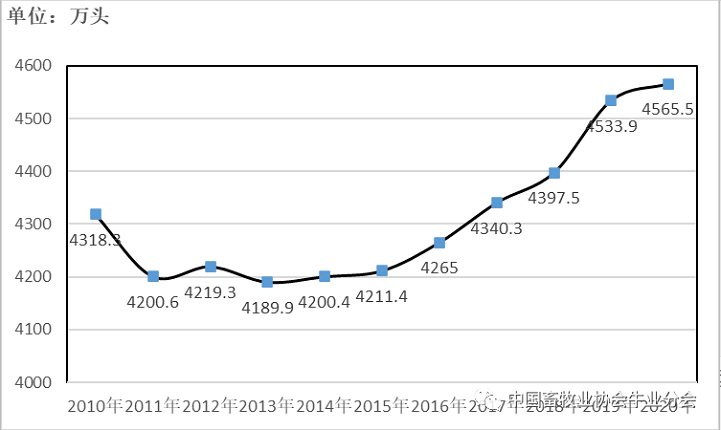 й885566˹(ɷ)޹˾-ٷվ