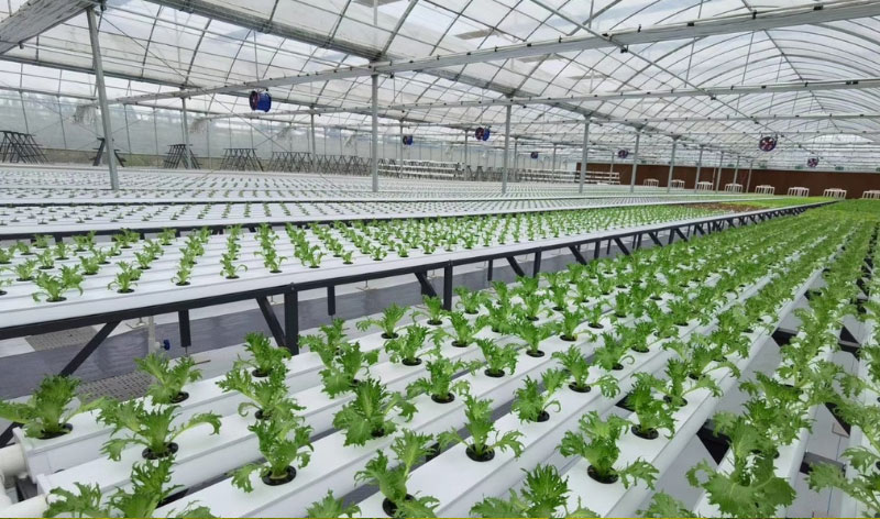 й885566˹(ɷ)޹˾-ٷվ