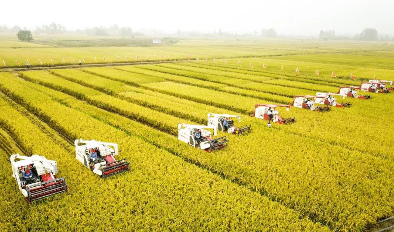 й885566˹(ɷ)޹˾-ٷվ