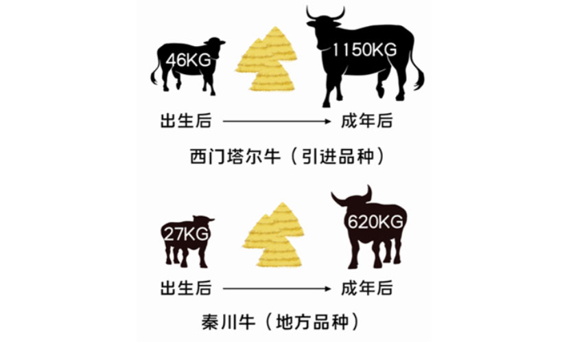 й885566˹(ɷ)޹˾-ٷվ