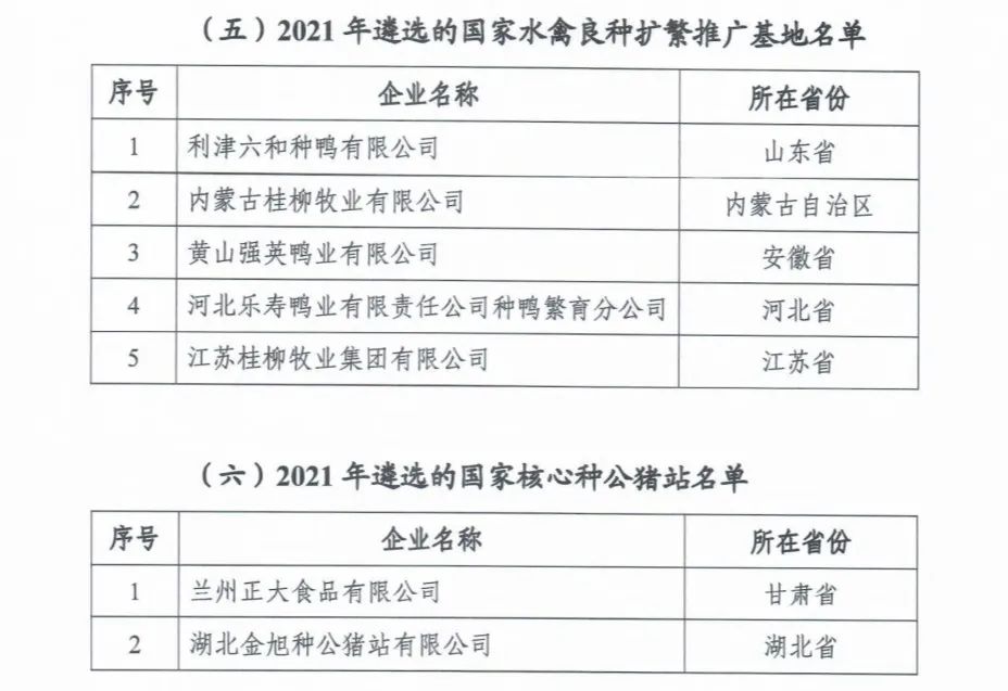 й885566˹(ɷ)޹˾-ٷվ