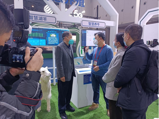 й885566˹(ɷ)޹˾-ٷվ