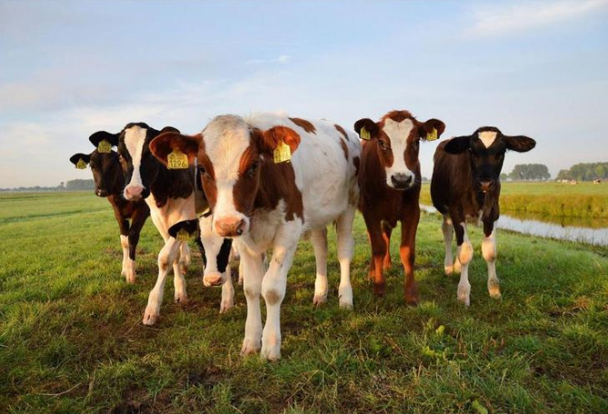 й885566˹(ɷ)޹˾-ٷվ