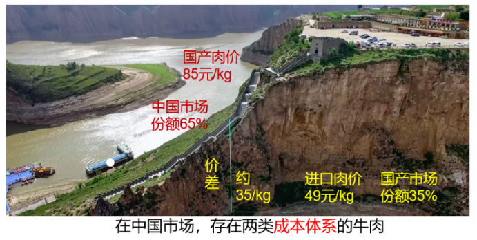 й885566˹(ɷ)޹˾-ٷվ