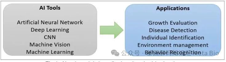 й885566˹(ɷ)޹˾-ٷվ