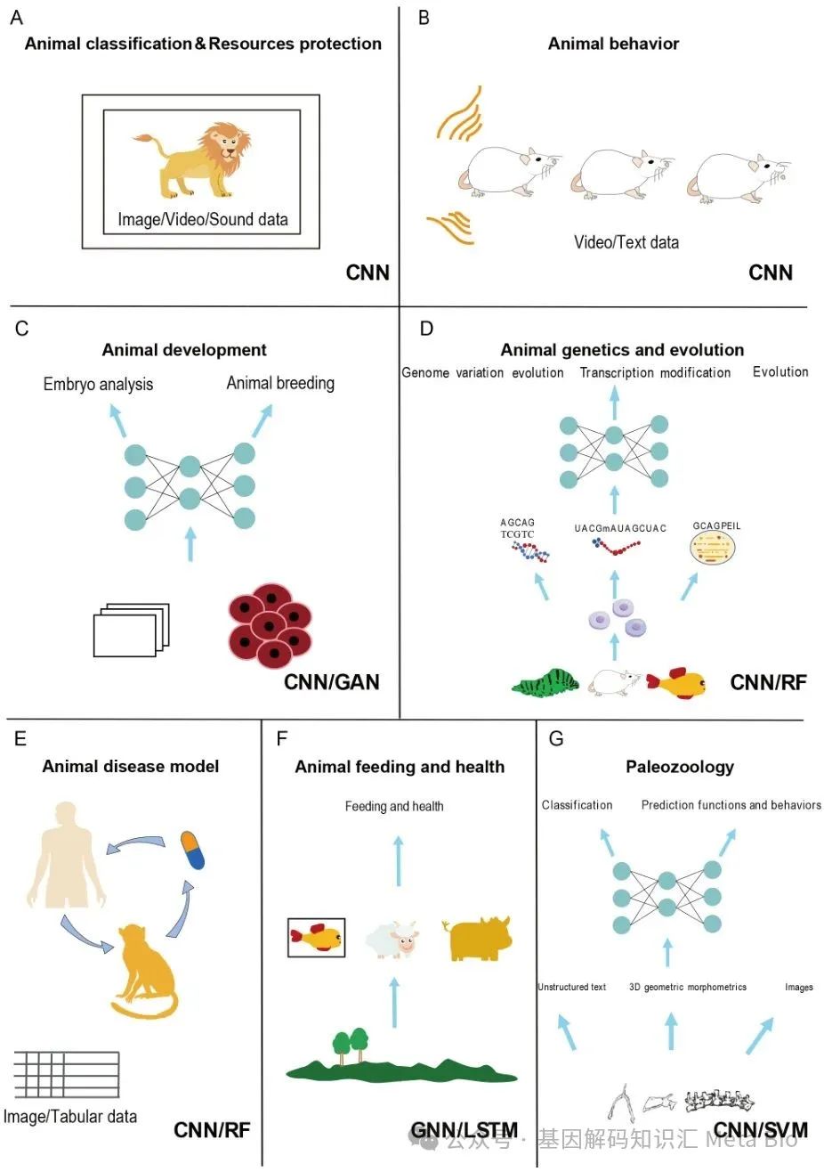 й885566˹(ɷ)޹˾-ٷվ